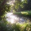 averyspring733